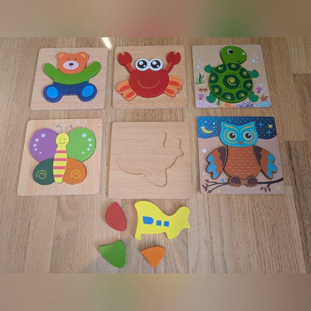 6 Pack Wooden Puzzle Set - Picture 2 of 4